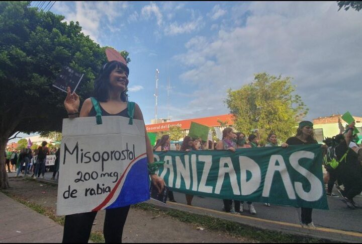 De Abortos y Manifestaciones (Primera parte)