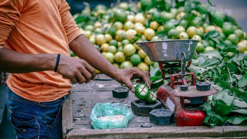 Información oportuna sobre la Balanza Comercial de Mercancías de México