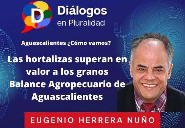 Las hortalizas superan en valor a los granos Balance Agropecuario de Aguascalientes