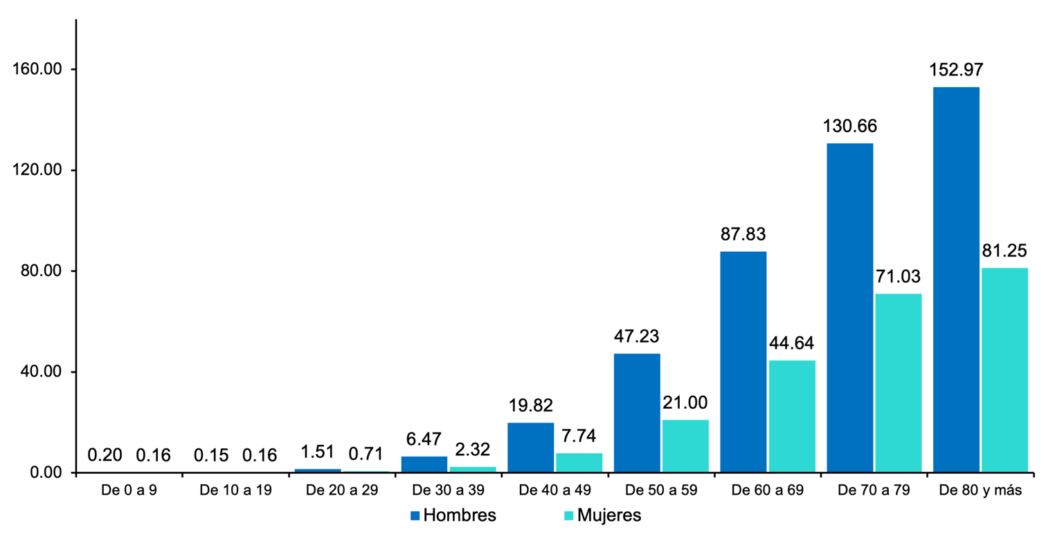 Gráfico, Gráfico de barras

Descripción generada automáticamente