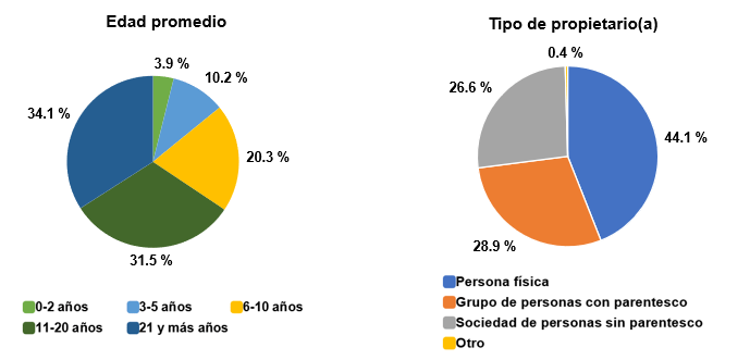 Gráfico, Gráfico circular

Descripción generada automáticamente