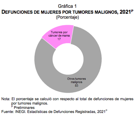 Estadísticas a propósito del Día Internacional de la Lucha contra el Cáncer de Mama (19 de octubre)