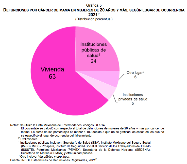 Estadísticas a propósito del Día Internacional de la Lucha contra el Cáncer de Mama (19 de octubre)