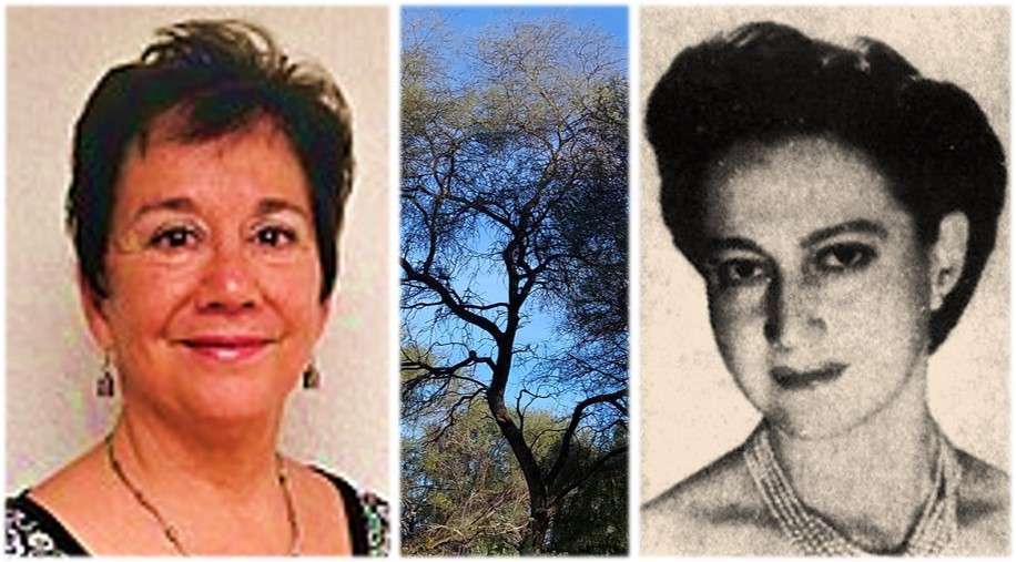 ENRIQUETA LEGORRETA LÓPEZ