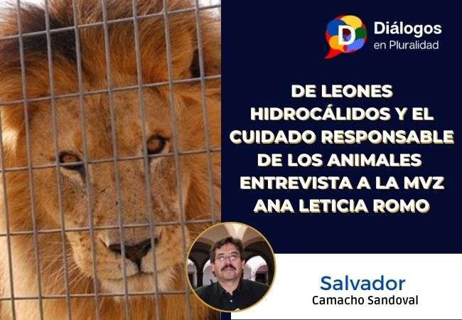 De leones hidrocálidos y el cuidado responsable de los animales  Entrevista a la MVZ Ana Leticia Romo