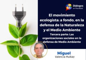 Tercera parte: Las organizaciones sociales en la defensa de Medio Ambiente