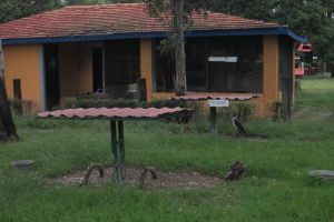 Centro de Rehabilitación de Aves Rapaces (CRAR) en el Parque Rodolfo Landeros