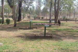 Centro de Rehabilitación de Aves Rapaces (CRAR) en el Parque Rodolfo Landeros