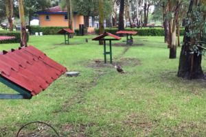 Centro de Rehabilitación de Aves Rapaces (CRAR) en el Parque Rodolfo Landeros