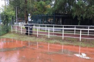 Centro de Rehabilitación de Aves Rapaces (CRAR) en el Parque Rodolfo Landeros