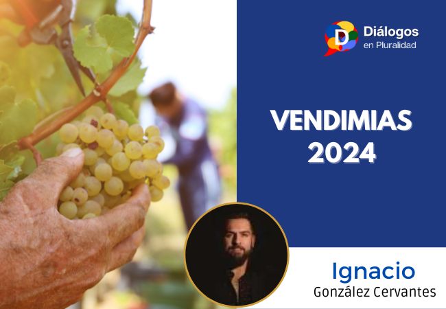 VENDIMIAS 2024