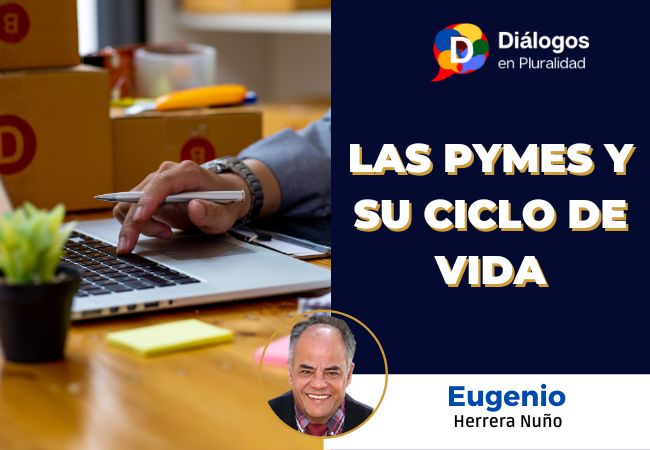 Las PYMES y su ciclo de vida