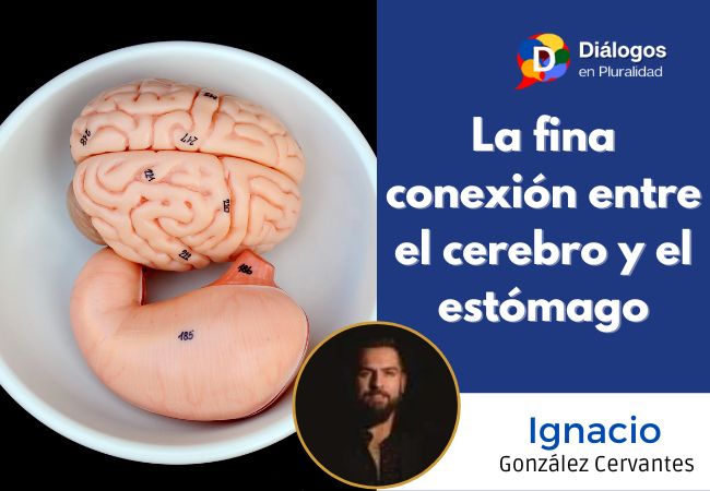 La fina conexión entre el cerebro y el estómago