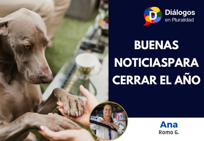 BUENAS NOTICIAS PARA CERRAR EL AÑO