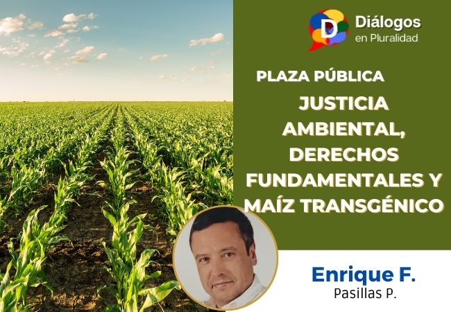 Justicia ambiental, derechos fundamentales y maíz transgénico