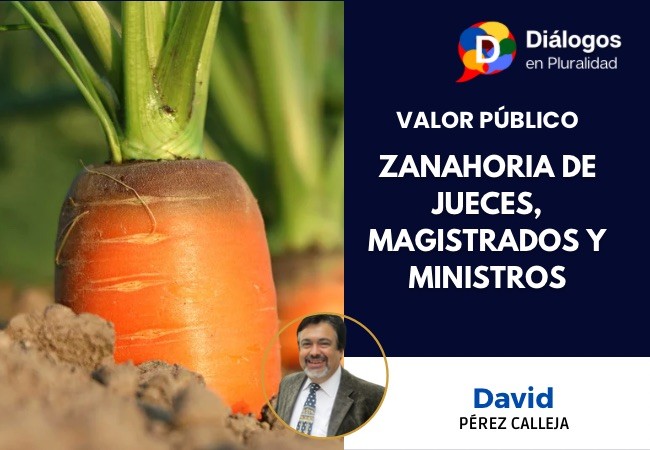ZANAHORIA DE JUECES, MAGISTRADOS Y MINISTROS