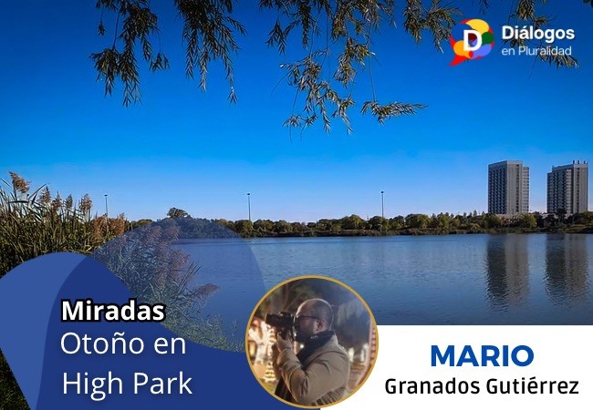 Otoño en High Park