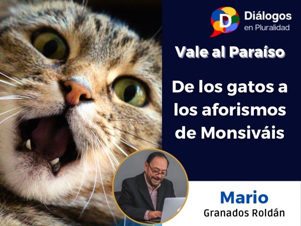 De los gatos a los aforismos de Monsiváis