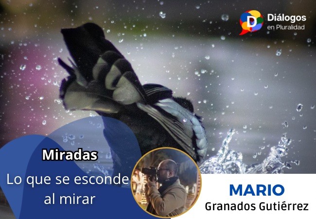 Lo que se esconde al mirar