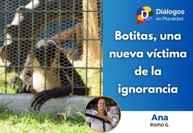 Botitas, una nueva víctima de la ignorancia