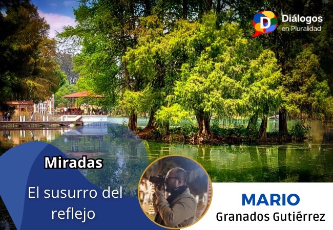 El susurro del reflejo