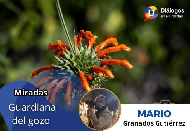 Guardiana del gozo