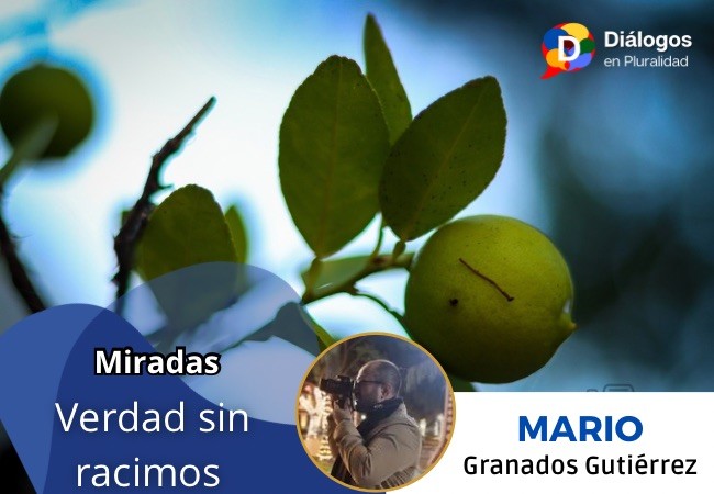 Verdad sin racimos