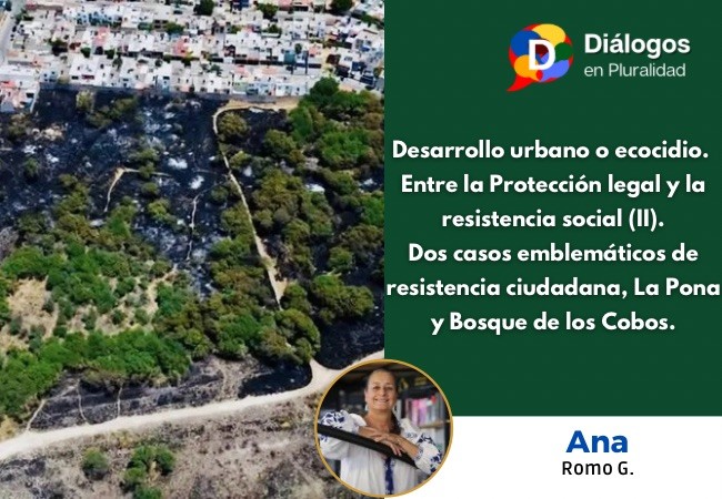Desarrollo urbano o ecocidio.