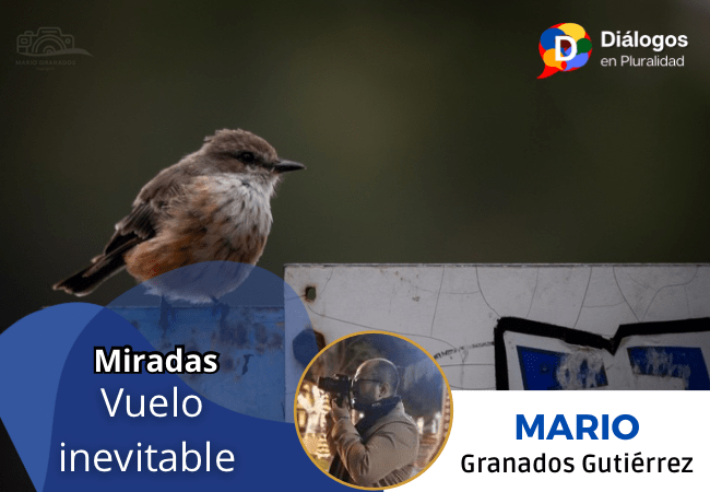 Vuelo inevitable