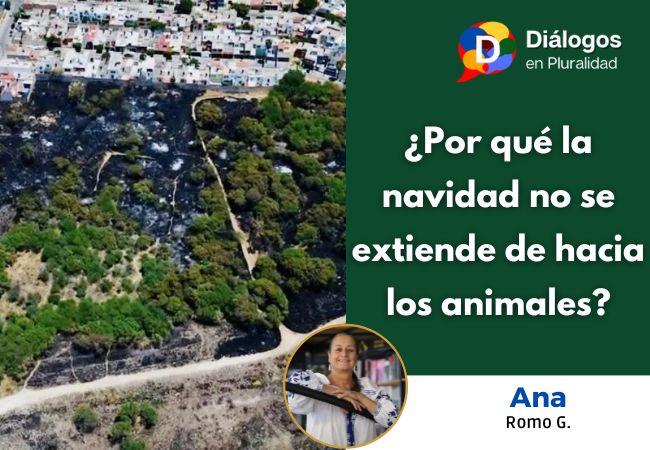 ¿Por qué la navidad no se extiende de hacia los animales?