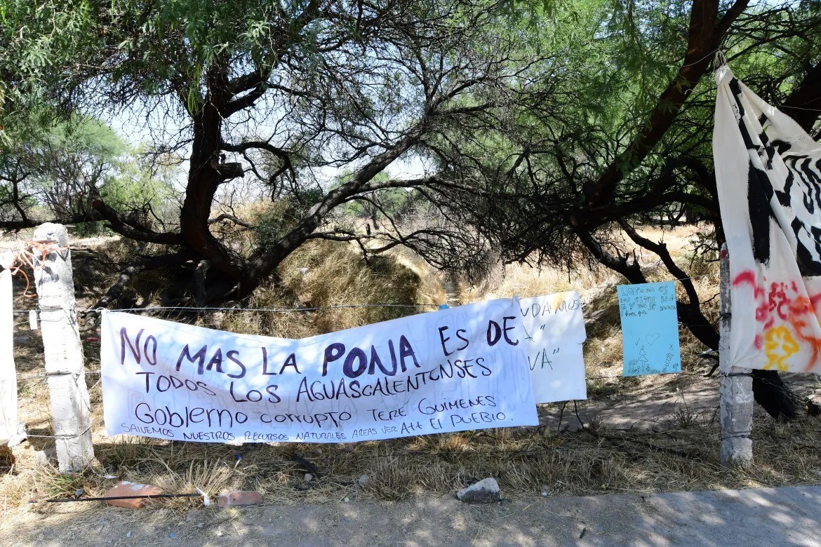 Imagen que contiene exterior, firmar, árbol, pasto

El contenido generado por IA puede ser incorrecto.