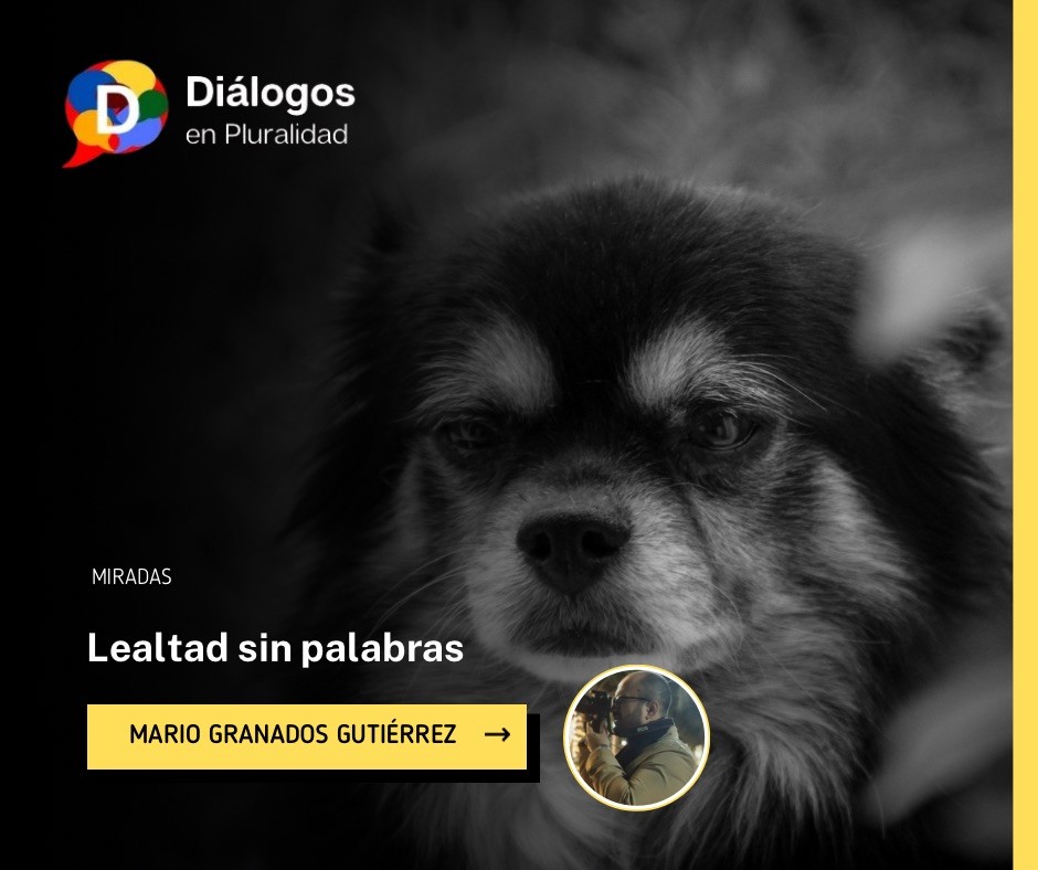 Lealtad sin palabras