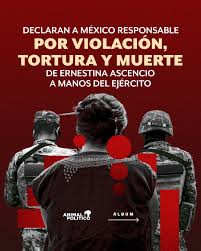 Ernestina Ascencio Rosario fue una mujer indígena náhuatl, monolingüe y de 73 años, originaria de la comunidad de Tetlalzinga, en la Sierra Zongolica de Veracruz, quien murió en febrero de 2007 tras