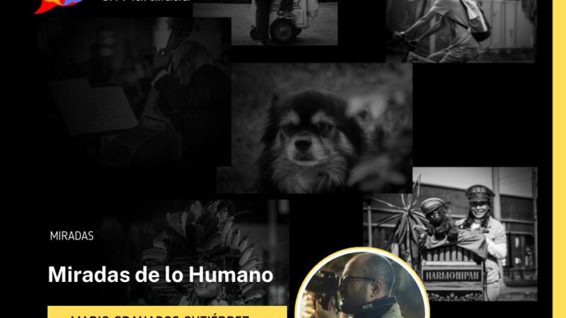 Miradas de lo humano