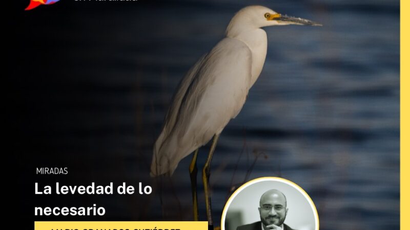 La levedad de lo necesario