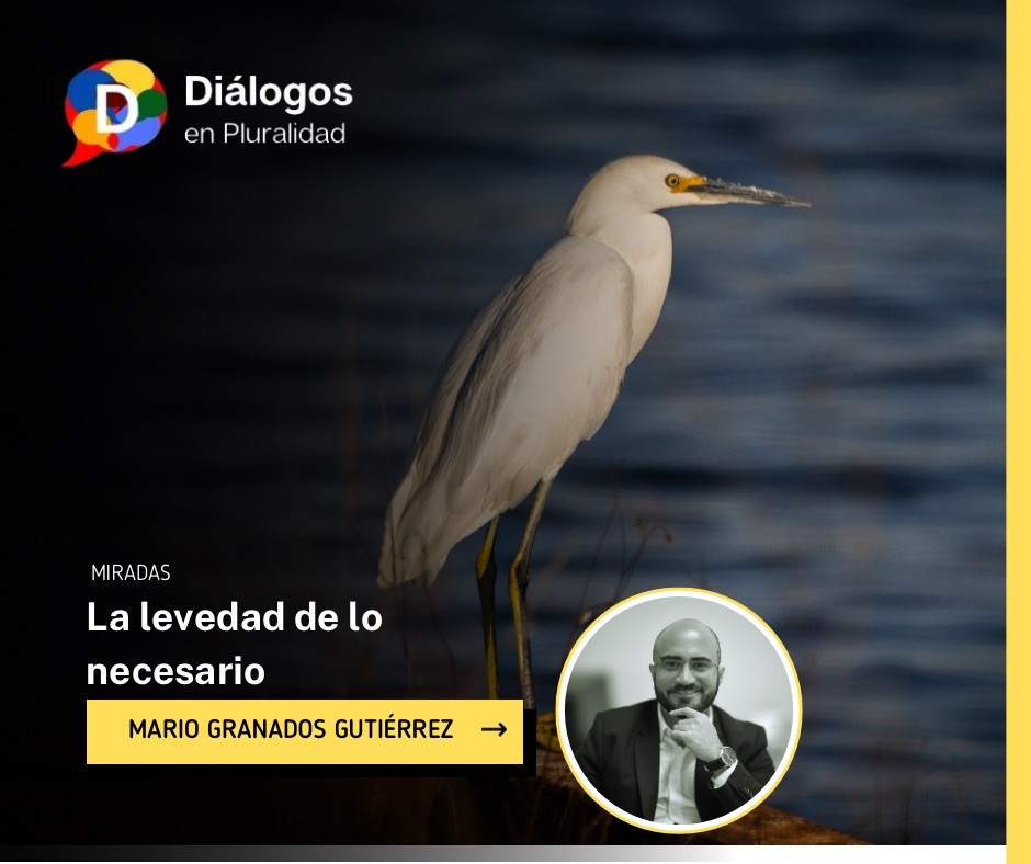 La levedad de lo necesario