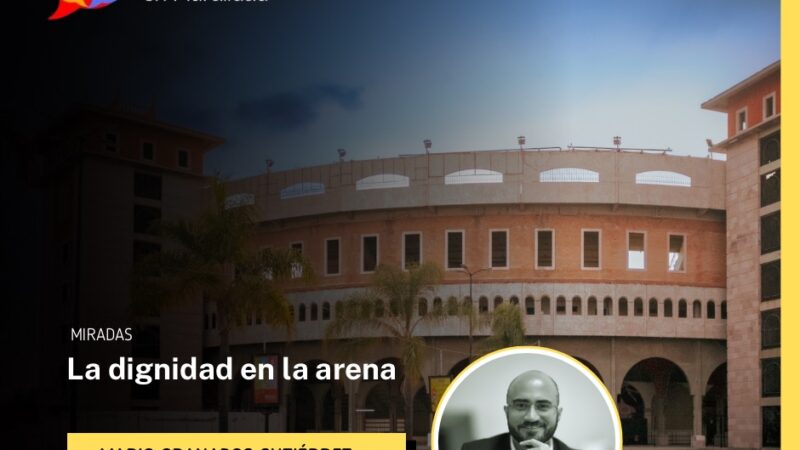 La dignidad en la arena
