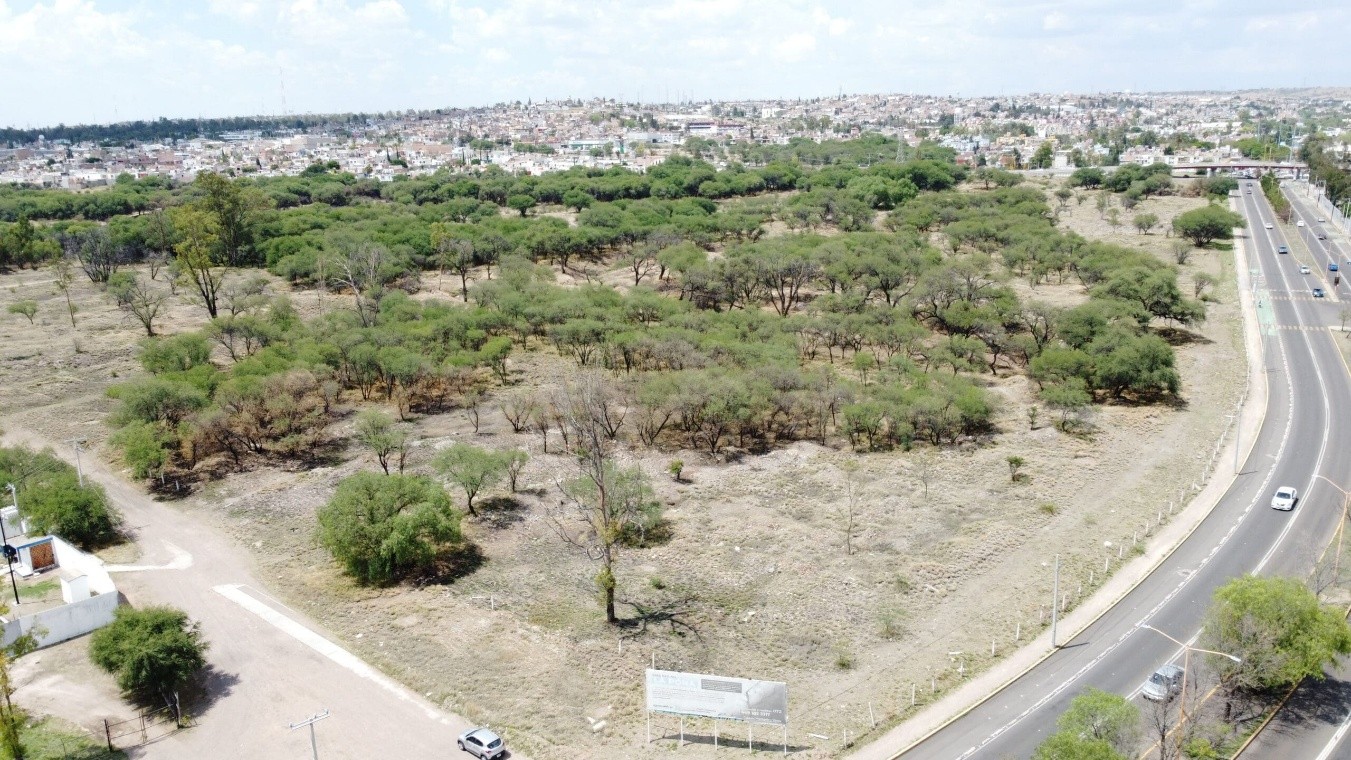 Protegen La Pona Pero La Gente No Coopera | Periodico Hidrocalido Digital