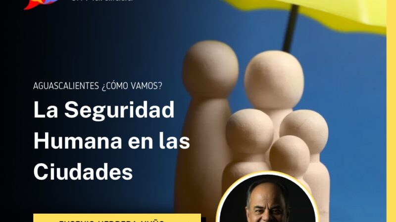 La Seguridad Humana en las Ciudades