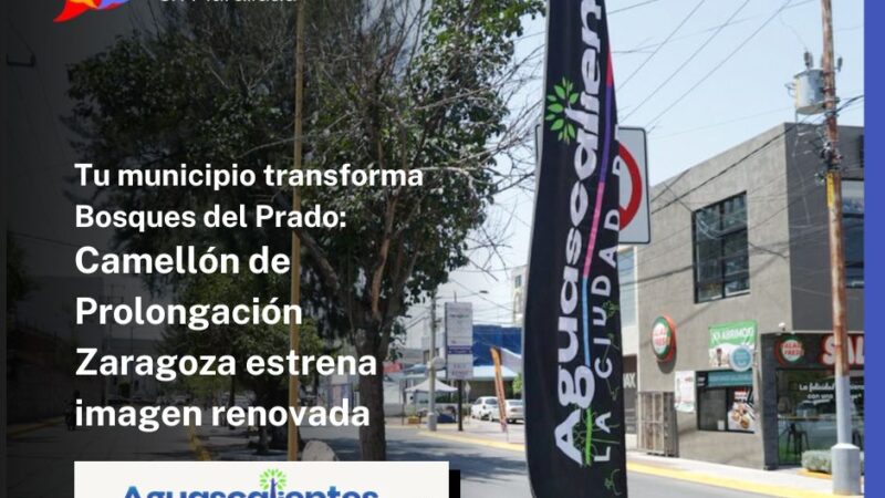 Tu municipio transforma Bosques del Prado: Camellón de Prolongación Zaragoza estrena imagen renovada