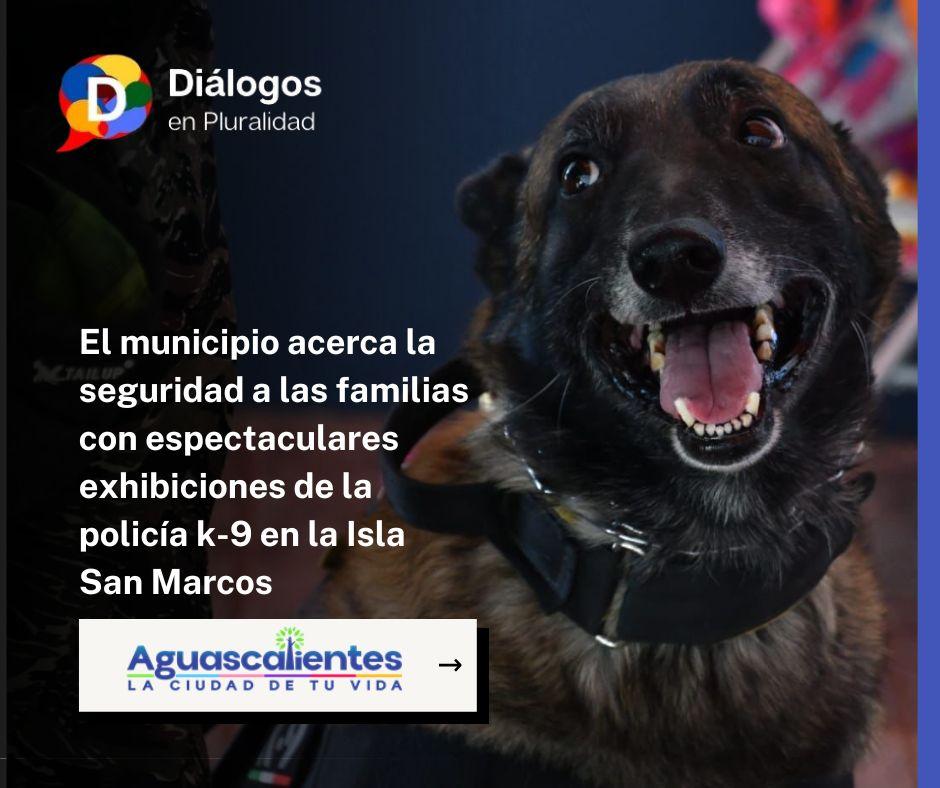 El municipio acerca la seguridad a las familias con espectaculares exhibiciones de la policía k-9 en la Isla San Marcos