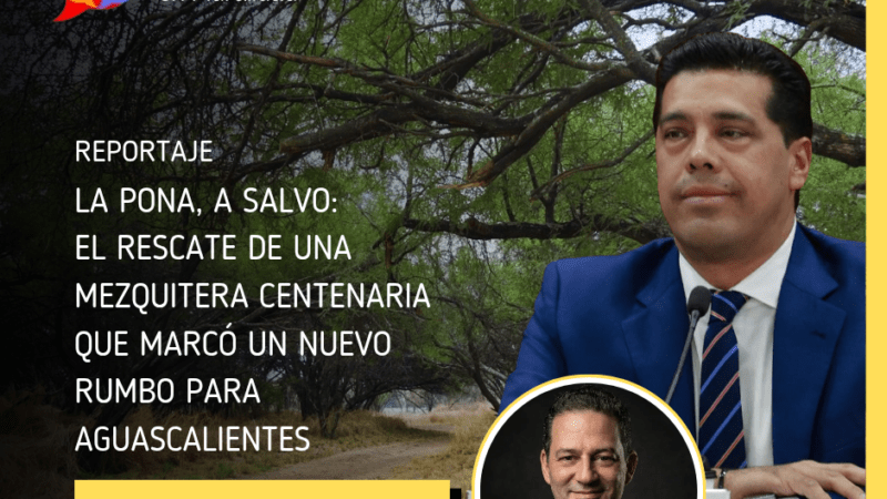 La Pona, a salvo: el rescate de una mezquitera centenaria que marcó un nuevo rumbo para Aguascalientes