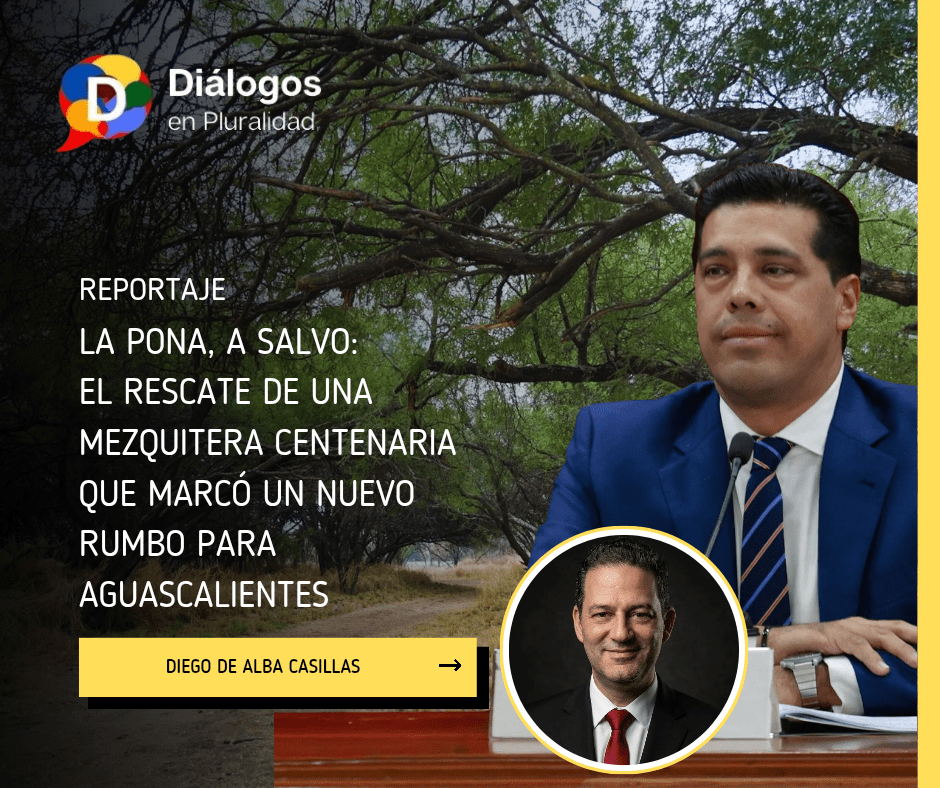 La Pona, a salvo: el rescate de una mezquitera centenaria que marcó un nuevo rumbo para Aguascalientes