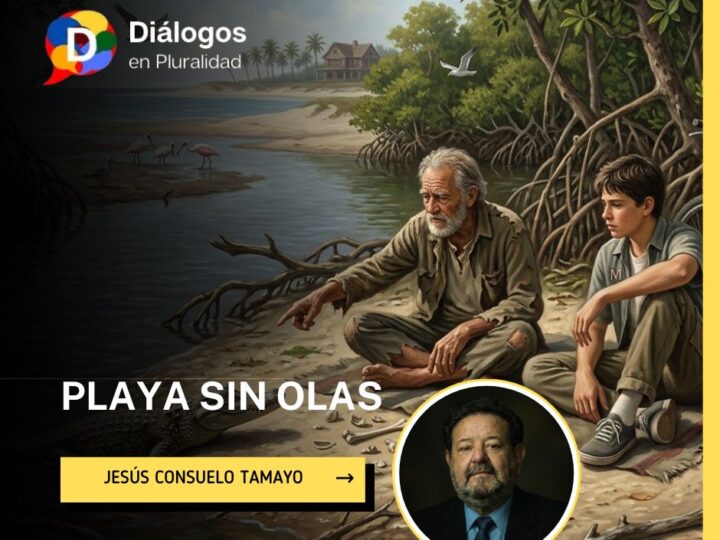 Playa sin olas