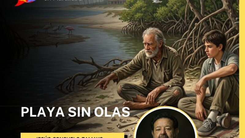Playa sin olas