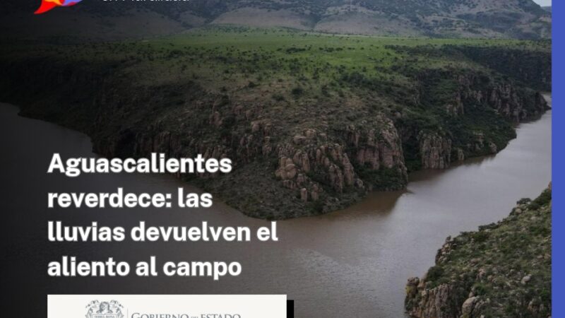 Aguascalientes reverdece: las lluvias devuelven el aliento al campo