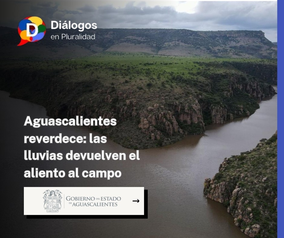 Aguascalientes reverdece: las lluvias devuelven el aliento al campo