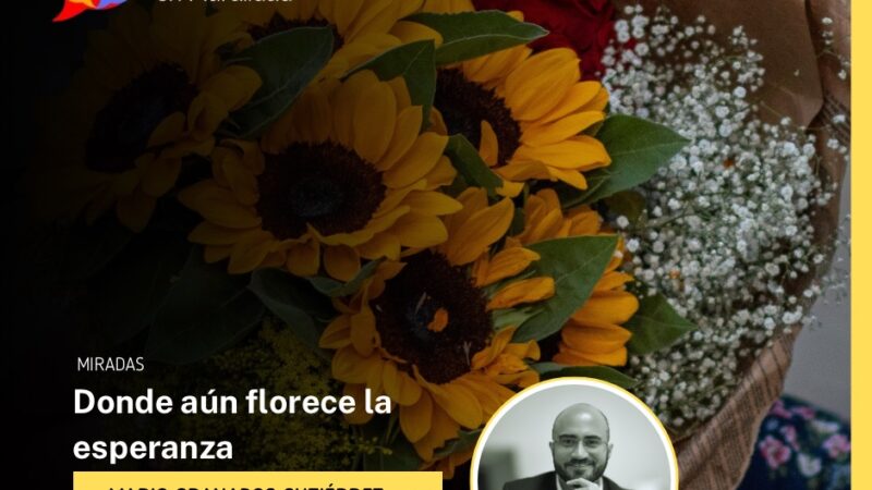 Donde aún florece la esperanza