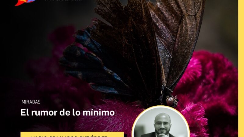 El rumor de lo mínimo