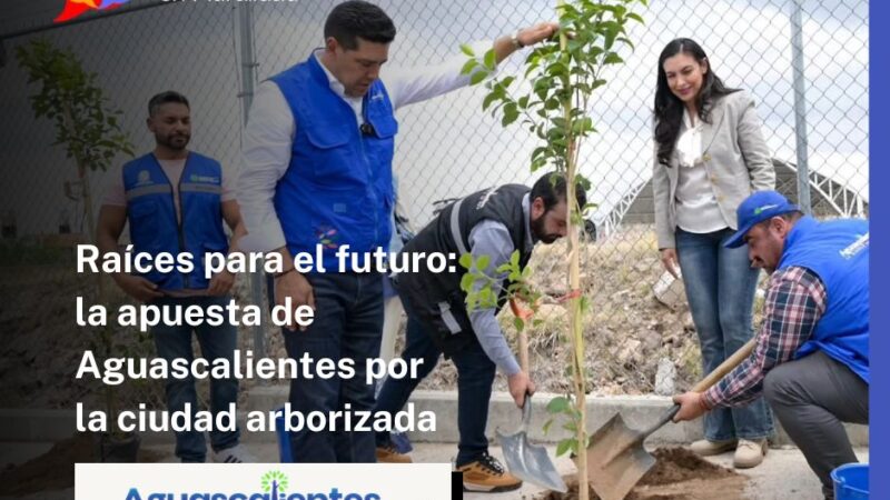 Raíces para el futuro: la apuesta de Aguascalientes por la ciudad arborizada
